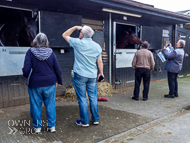 PN170422-174 - Paul Nicholls Stable Visit